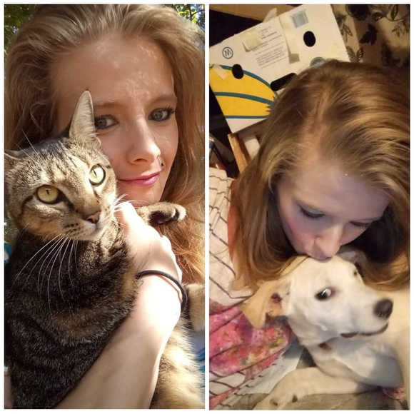 Meet your Posher, Kridder - Picture 4 of 8